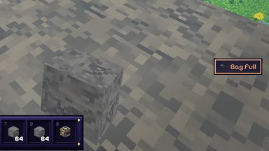 At the side of the screen: Bag full, with the item left on the ground.