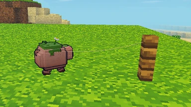 A pig tied to a fence post by a Tether, the rope running from the post’s top to its neck.